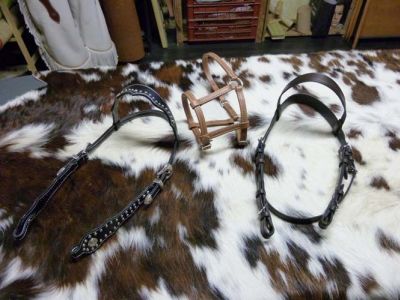 Accessoires pour Animaux